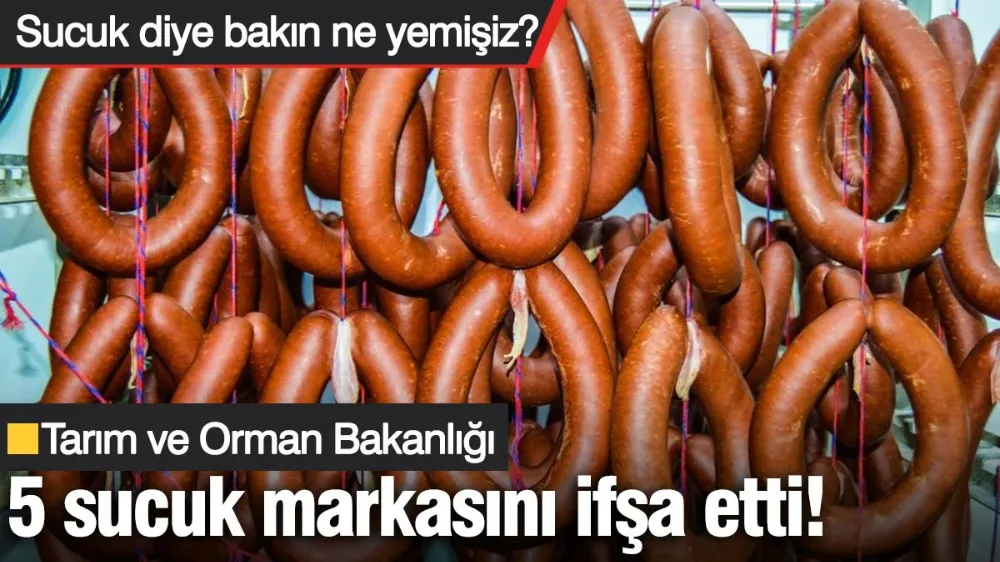 Sucuk diye bakın ne yemişiz?
