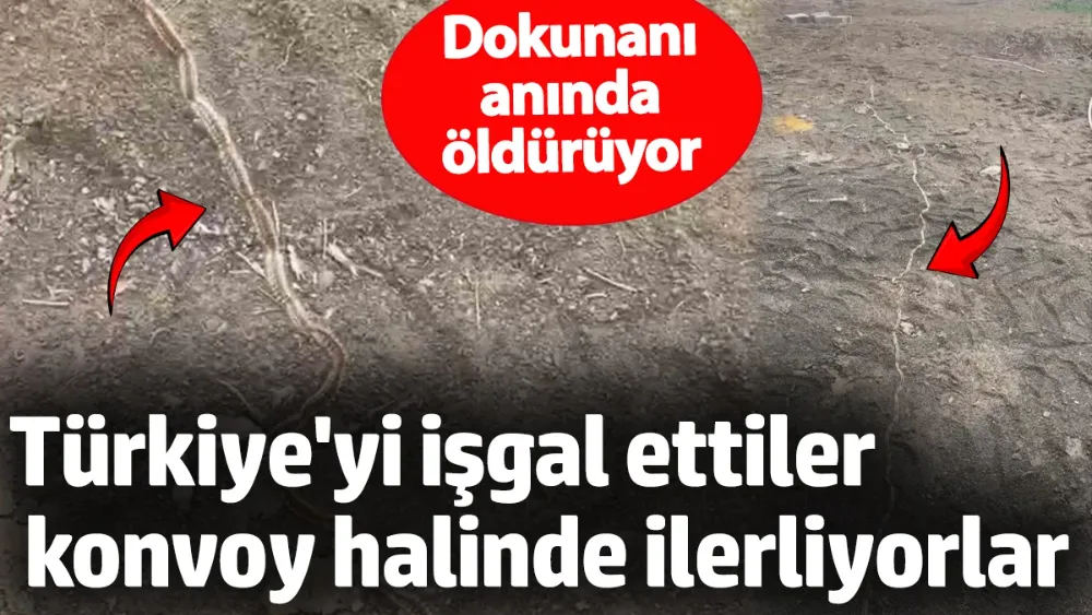 Türkiye
