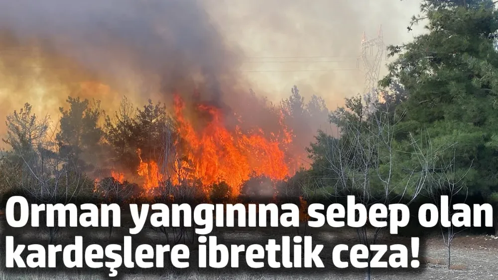Çanakkale’de 2 kardeşe 4,6 milyon TL ceza