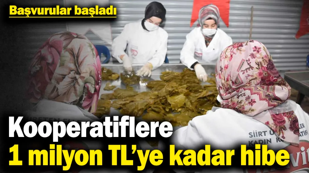 Kooperatiflere 1 milyon TL’ye kadar hibe desteği