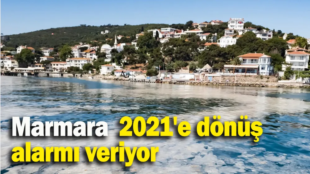 Marmara 2021