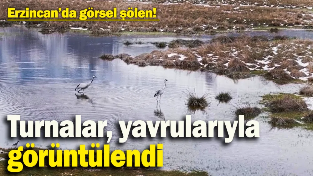 Erzincan’da görsel şölen! 