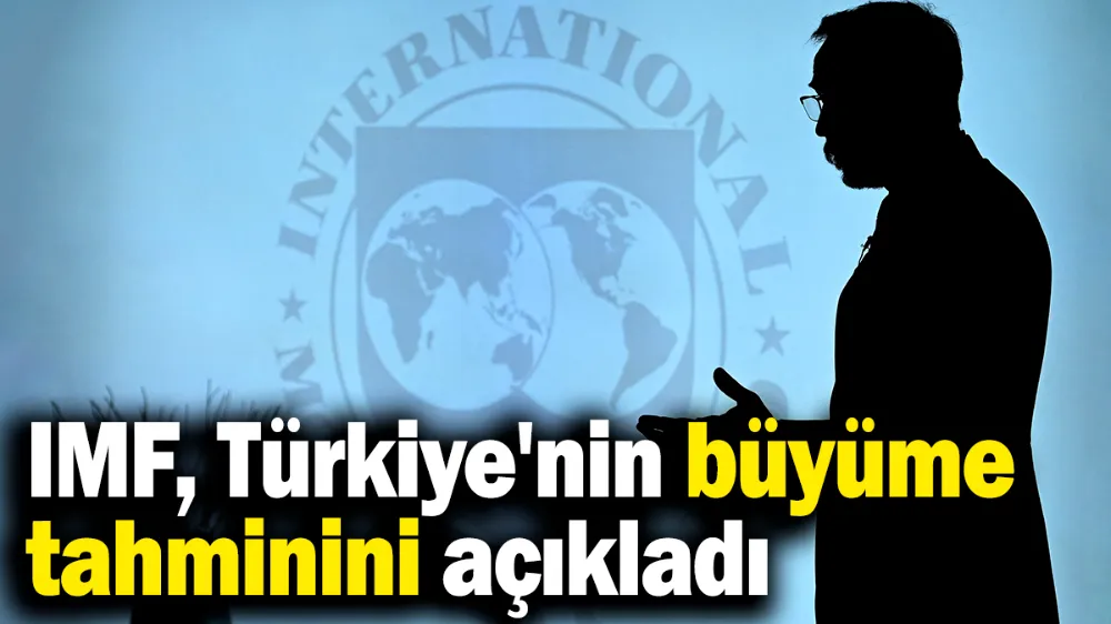 IMF, Türkiye