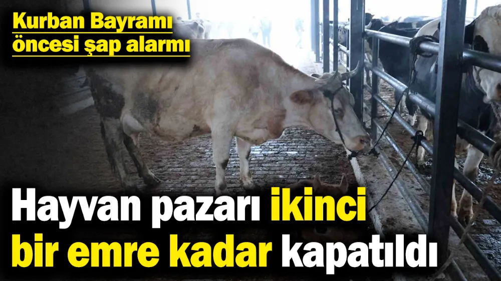 Kurban Bayramı öncesi şap alarmı! 