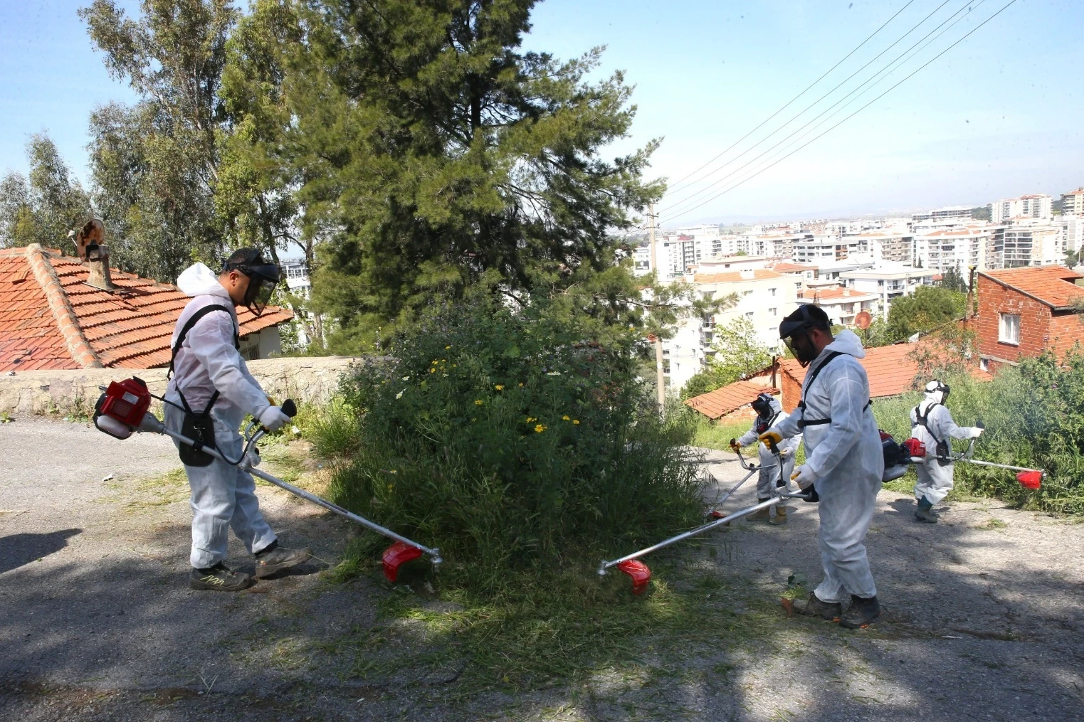 Çiğli