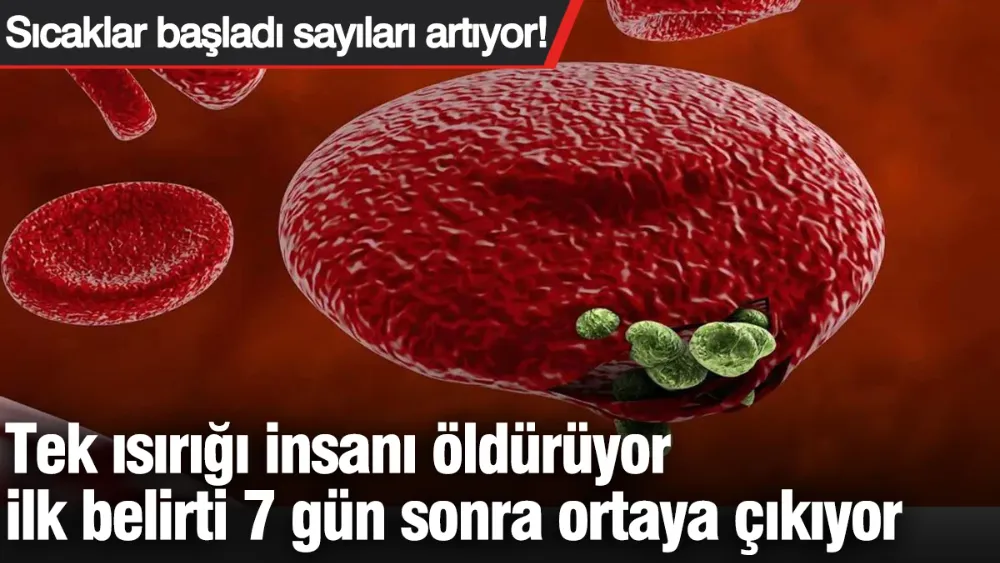 Sıcaklar başladı sayıları artıyor! 