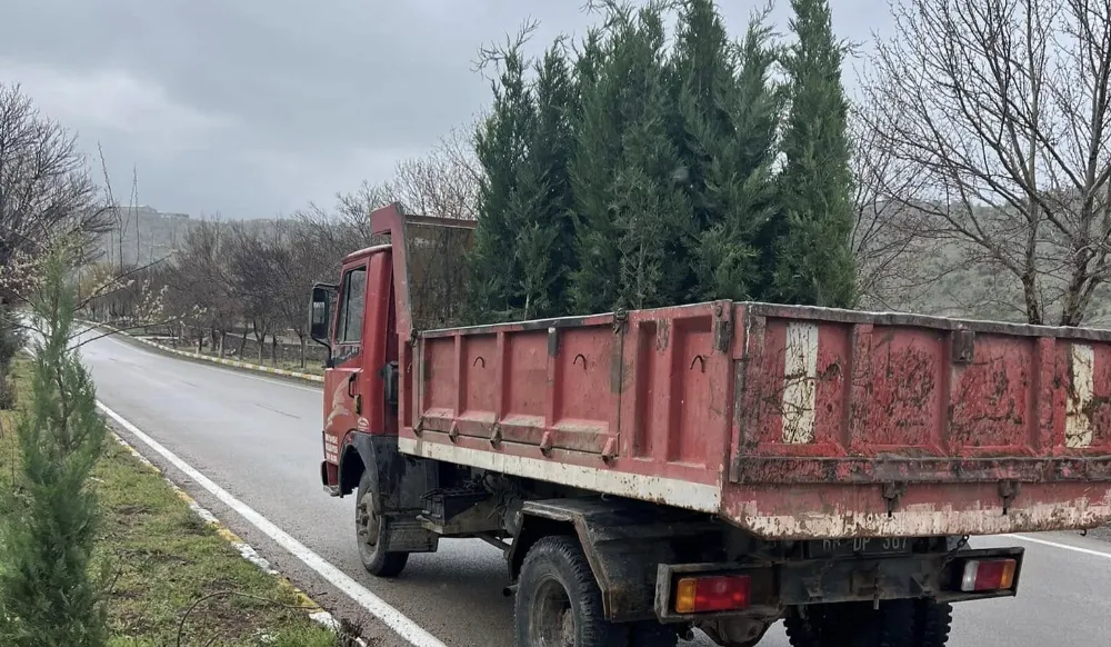 Başkan Arif Bellikli Öncülüğünde Fide Dikim Seferberliği!