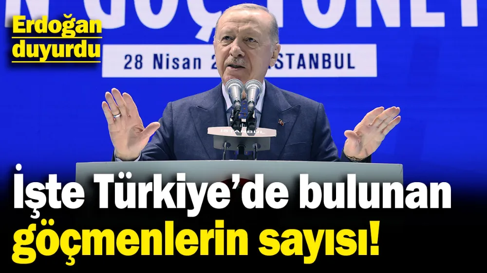 Erdoğan, Türkiye