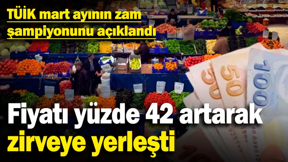 TÜİK mart ayının zam şampiyonunu açıklandı