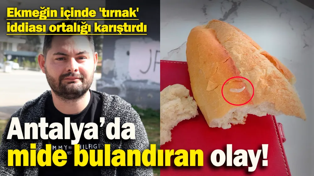 Ekmeğin içinde 