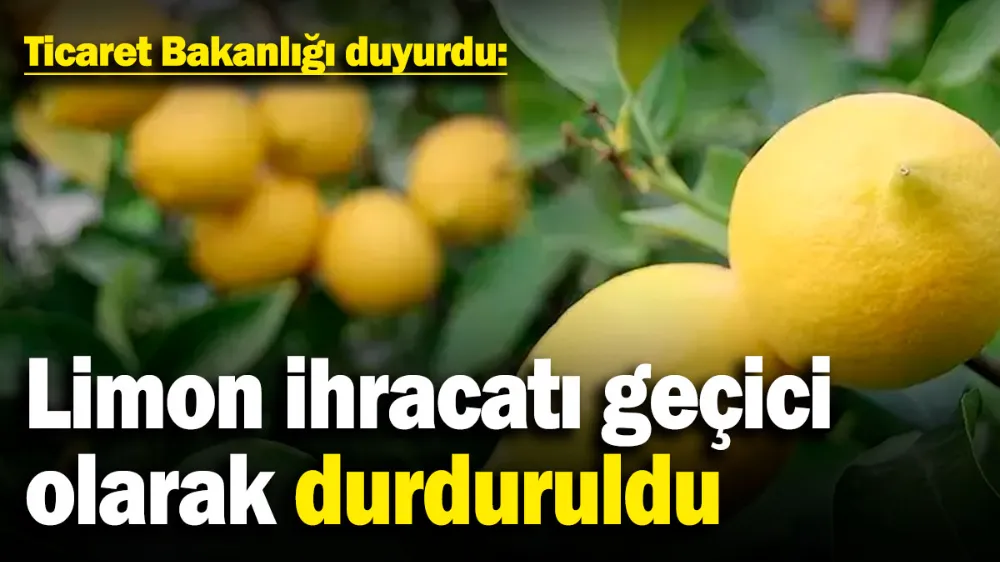 Limon ihracatı geçici olarak durduruldu