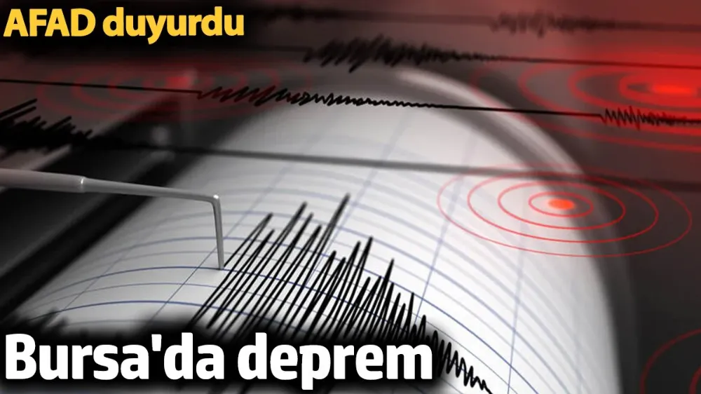Bursa