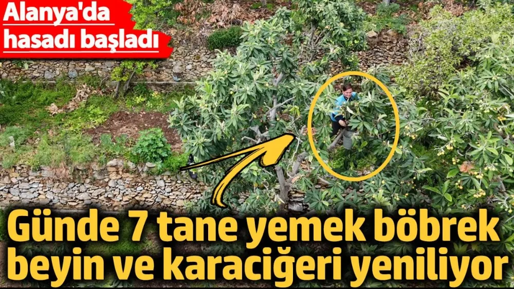 Günde 7 tane yemek böbrek, beyin ve karaciğeri yeniliyor
