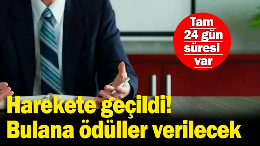 Kahverengi kokarca böceği için kampanya başlatıldı! 