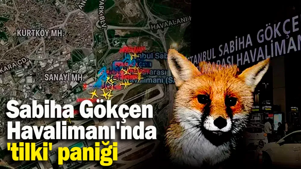 Sabiha Gökçen Havalimanı