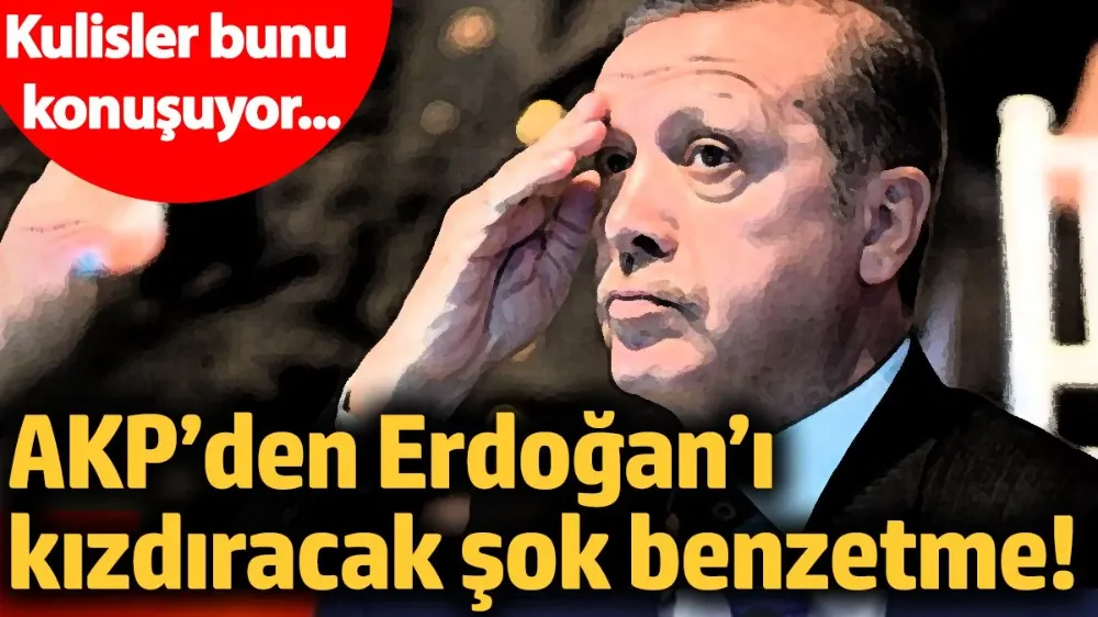 AKP’lilerden Erdoğan’ı kızdıracak şok benzetme! 