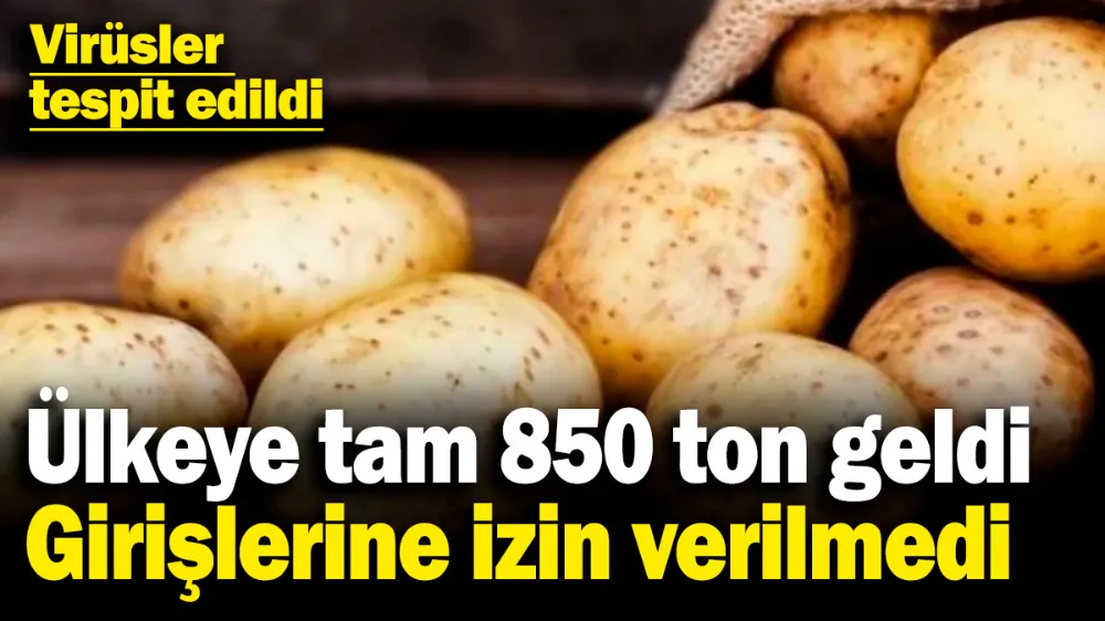 Ülkeye tam 850 ton geldi, girişlerine izin verilmedi! 