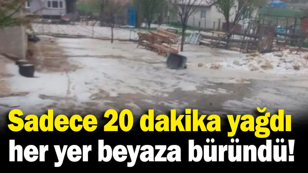 20 dakikada her yer beyaza büründü