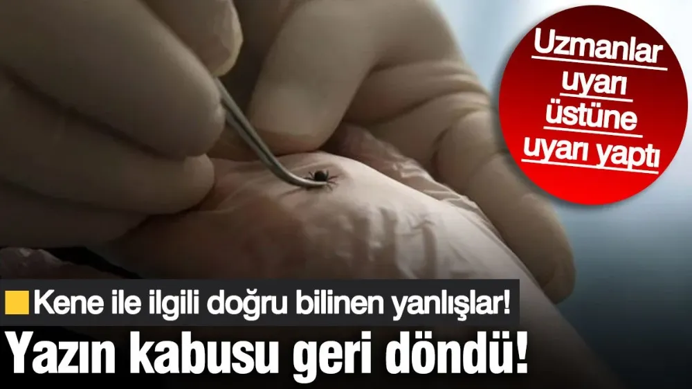 Yazın kabusu geri döndü! Uzmanlar uyarı üstüne uyarı yaptı