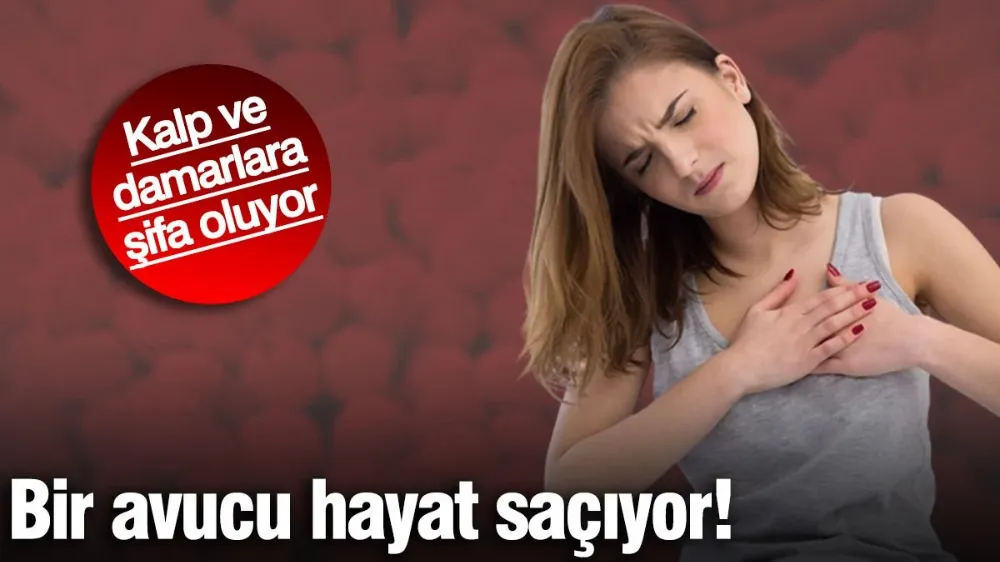 Bir avucu hayat saçıyor! Kalp ve damarlara şifa oluyor