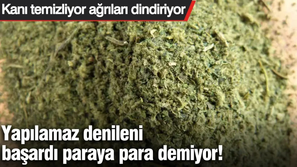 Yapılamaz denileni başardı paraya para demiyor! 