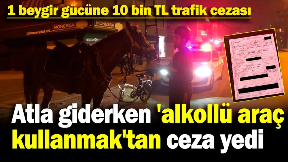 Atla giderken 