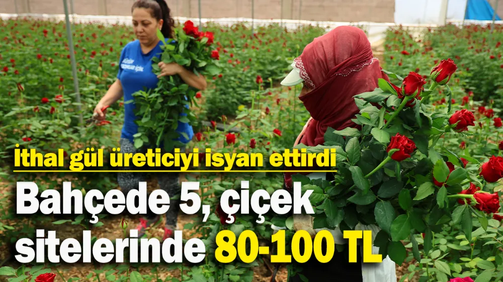 Bahçede 5, çiçek sitelerinde 80-100 TL