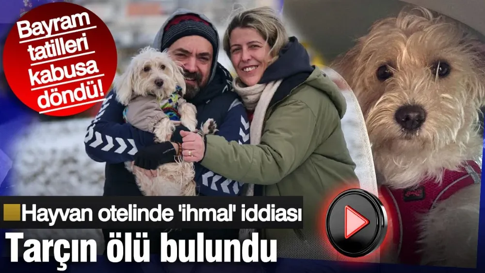Bayram tatilleri kabusa döndü! Hayvan otelinde ihmal iddiası