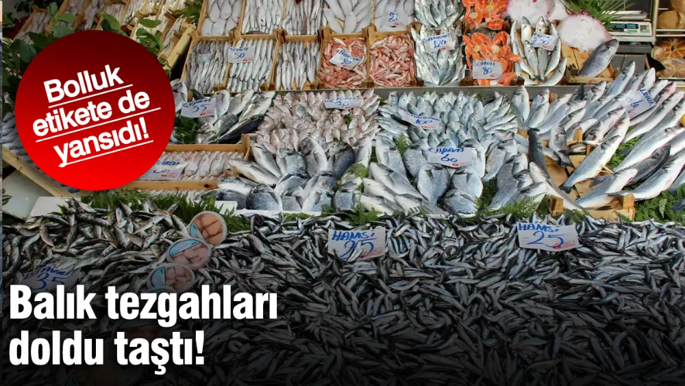 Balık tezgahları doldu taştı: Bolluk etikete de yansıdı!