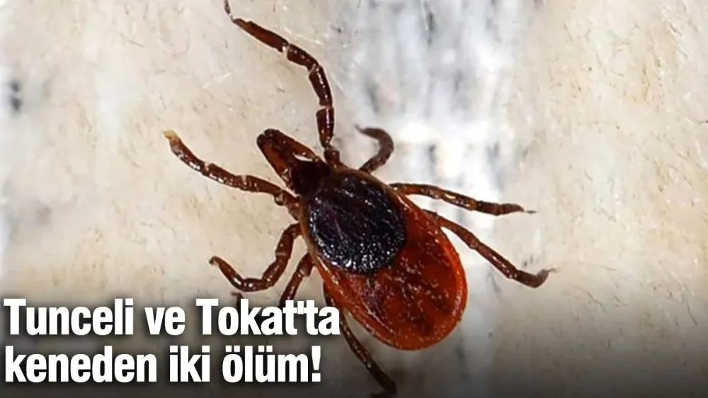 Tunceli ve Tokat