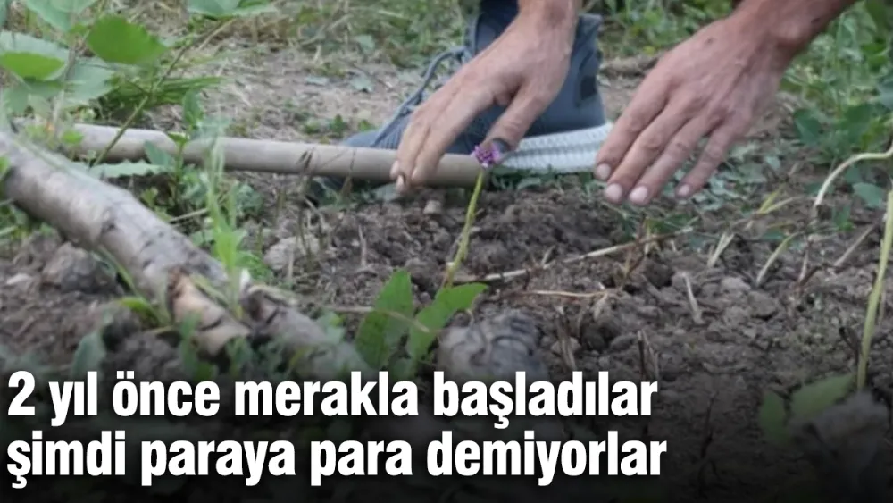 2 yıl önce merakla başladılar, şimdi paraya para demiyorlar