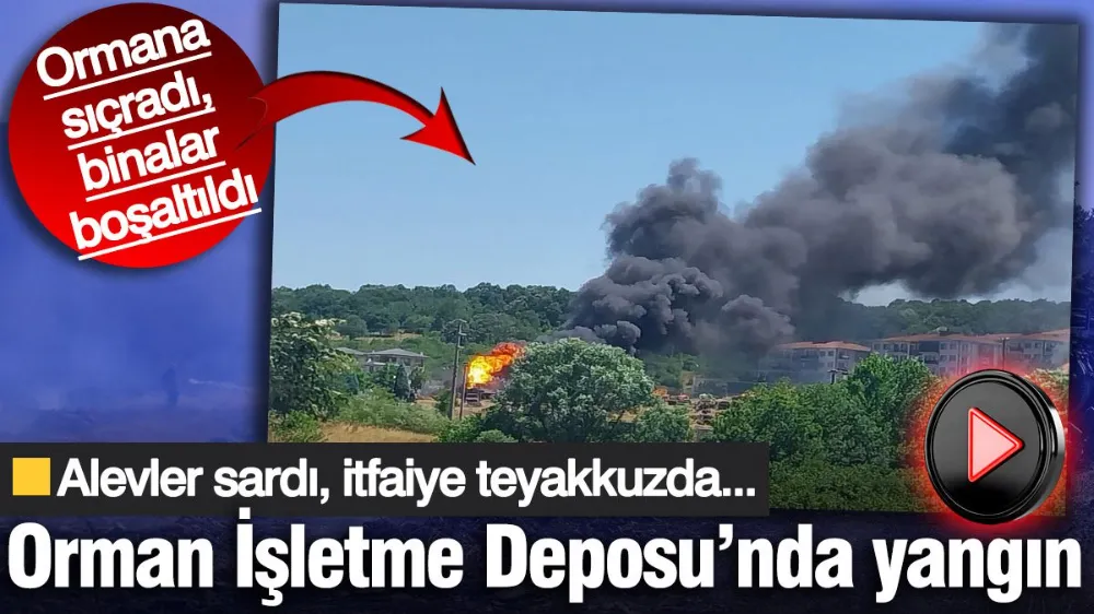 Sakarya Orman İşletme Deposu’nda başladı ormana sıçradı: Binalar boşaltıldı