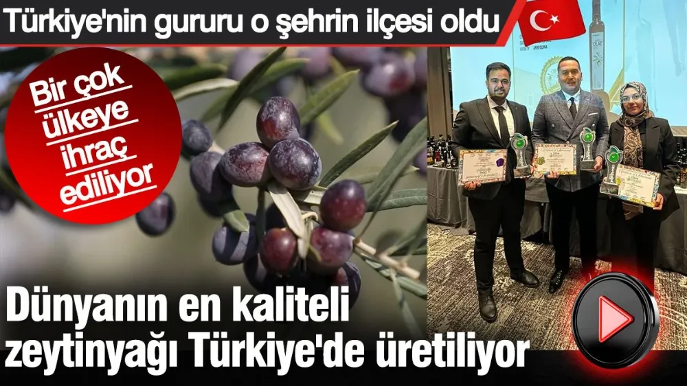 Dünyanın en kaliteli zeytinyağı Türkiye