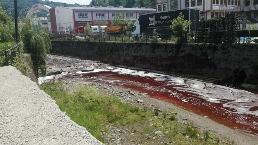 Rize