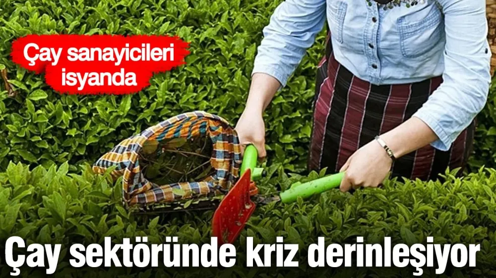 Çay sektöründe kriz derinleşiyor! 