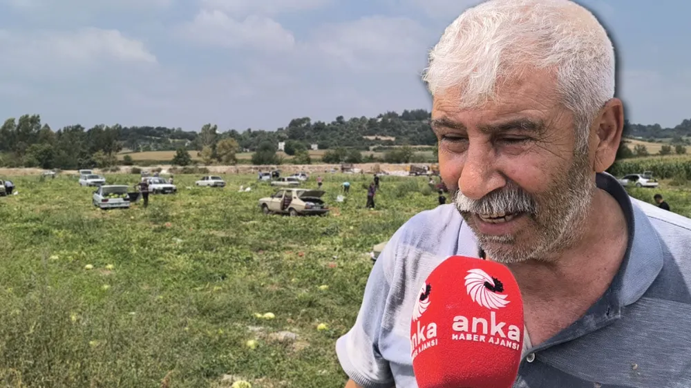 Çiftçi satamamaktan vatandaş alamamaktan! Tarlada karpuz 
