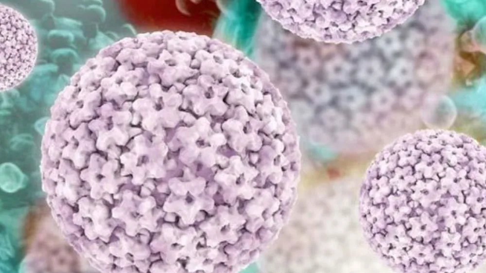 HPV hastalığına karşı yerli üretim aşı hazırlık aşamasında