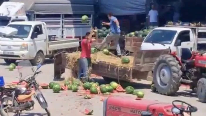 Karpuzları yere atıp parçalamışlardı, harekete geçildi! 