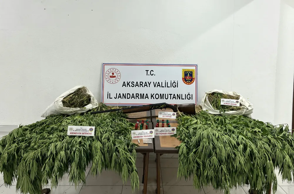 Sarıyahşi