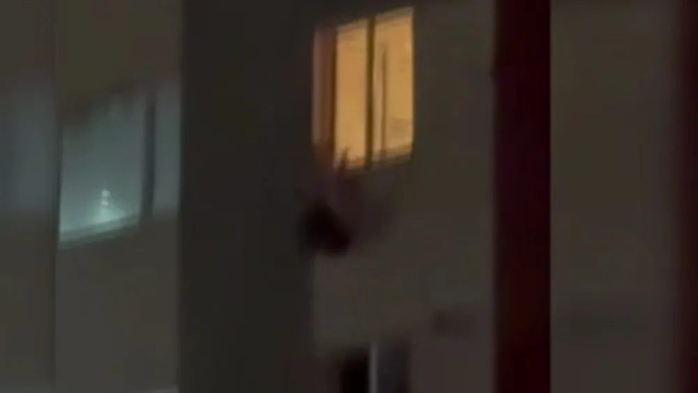 Son mesajını kızına attı! 