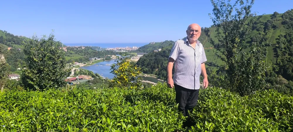 Rize’nin Yeşil Altını: Yamaçdere’de Bereketli Çay Hasadı