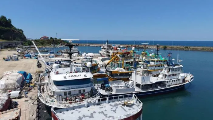 Karadeniz’de hareketlilik başladı, balıkçılar umutlu