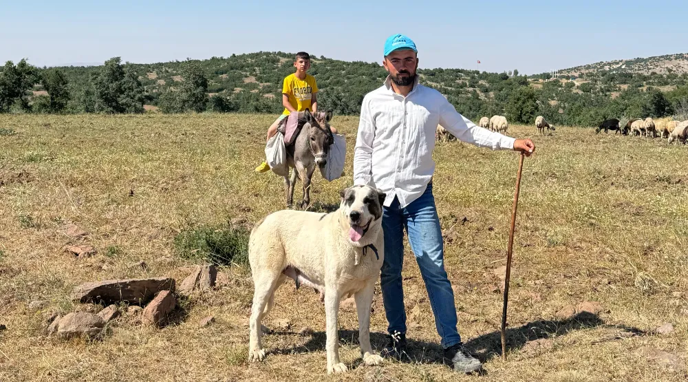 Güzelyurt