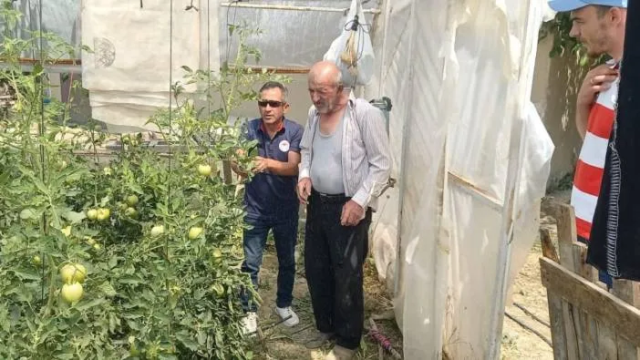 Seralarda hastalık kontrolü!