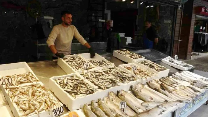 Balıkçı palamuttan umudunu kesti, hamsi ve istavrit ile teselli buluyor